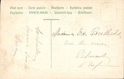 CPA Fantaisie Fleurs Bonne Annee