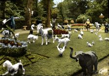 CPM Mesnil De Bavent Epis Normands Vases Et Animaux Pour Interieurs Parcs Et Jardins Elephant Chevre Chat Ane Mule Lapin