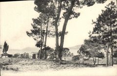 CPA Cabanes au bord de l'eau