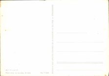 VINTAGE POSTCARD At the village