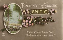 VINTAGE POSTCARD Testimony Of Sincere Friendship Flowers