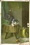 CPA Fantaisie Chat Chaton 