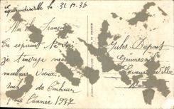 CPA Fleurs Bonne Annee