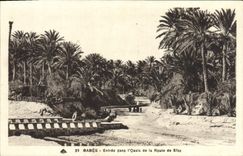 CPA Gabes Entree dans I'Oasis de la Route de Sfax