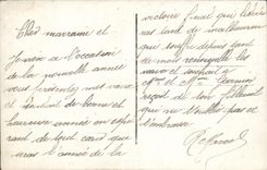 CPA Fantaisie Fleurs Bonne Annee