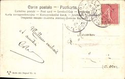 CPA Fantaisie Fleurs Bonne Annee