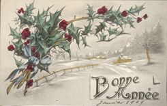 CPA Fantaisie Fleurs Bonne Annee