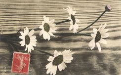 CPA Fantaisie Fleurs