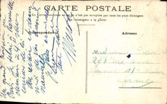 VINTAGE POSTCARD Fantasy Flags Flowers