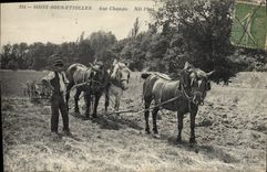 CPA Soisy Sous Etiolles Aux Champs Attelage Chevaux Labour Laborage TOP