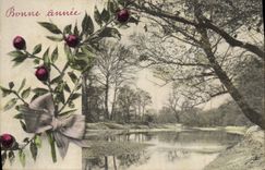 VINTAGE POSTCARD Natural Fantasy