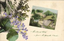 VINTAGE POSTCARD Fantasy Flowers Household