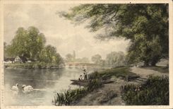 VINTAGE POSTCARD Fantaisie Swan Cut