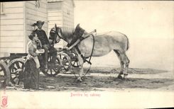 CPA Derriere les cabines A la plage Folklore Cheval