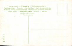 VINTAGE POSTCARD Fantasy Woman Violin