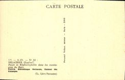 VINTAGE POSTCARD Delacroix Paris National library Cabinet Of the Prints Faust and Mephistopheles in the mountains Harz Devil