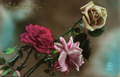 CPA Fantaisie Fleurs 