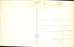 CPA Fantaisie Fleurs 