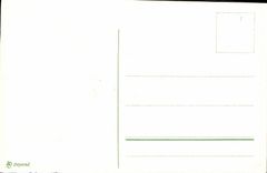 CPA Fantaisie Fleurs 