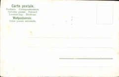 CPA Fantaisie Fleurs 