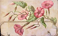 CPA Fantaisie Fleurs 