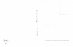 CPA Fantaisie Fleurs 