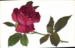 CPA Fantaisie Fleurs 