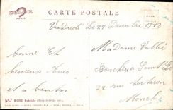 CPA Fantaisie Fleurs 