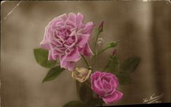 CPA Fantaisie Fleurs 