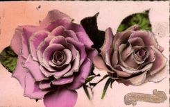 CPA Fantaisie Fleurs 