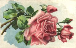 CPA Fantaisie Fleurs 