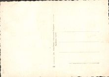 CPA Fantaisie Fleurs 