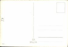 CPA Fantaisie Fleurs 