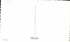 CPA Fantaisie Fleurs 