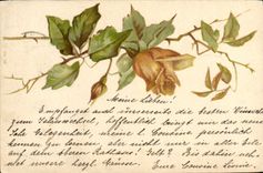 CPA Fantaisie Fleurs 