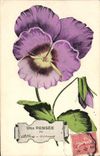 CPA Fantaisie Fleurs Une pensee de Athis Mons