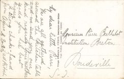 Flores de la fantasía de la POSTAL de la VENDIMIA