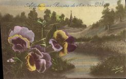 Flores de la fantasía de la POSTAL de la VENDIMIA