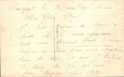 Flores de la fantasía de la POSTAL de la VENDIMIA