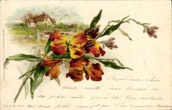 Flores de la fantasía de la POSTAL de la VENDIMIA