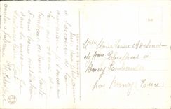 Flores de la fantasía de la POSTAL de la VENDIMIA