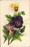 Flores de la fantasía de la POSTAL de la VENDIMIA