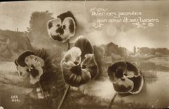 Flores de la fantasía de la POSTAL de la VENDIMIA