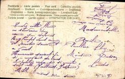 Flores de la fantasía de la POSTAL de la VENDIMIA