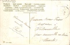 Flores de la fantasía de la POSTAL de la VENDIMIA