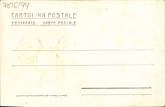 Flores de la fantasía de la POSTAL de la VENDIMIA