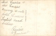 Flores de la fantasía de la POSTAL de la VENDIMIA