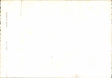 Flores de la fantasía de la POSTAL de la VENDIMIA