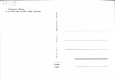 CPM Fantaisie Fleurs Aster des Alpes Aster alpinus