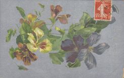 Flores de la fantasía de la POSTAL de la VENDIMIA